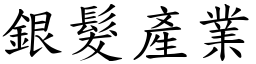 银发产业 (楷体矢量字库)