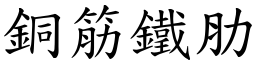 铜筋铁肋 (楷体矢量字库)