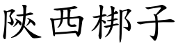 陕西梆子 (楷体矢量字库)