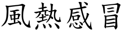 風熱感冒 (楷體矢量字庫)