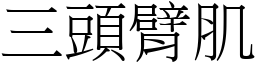 三头臂肌 (宋体矢量字库)