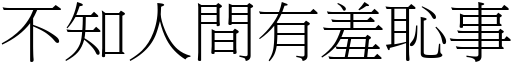 不知人间有羞耻事 (宋体矢量字库)