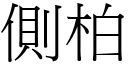 侧柏 (宋体矢量字库)