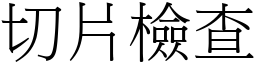 切片检查 (宋体矢量字库)