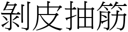 剥皮抽筋 (宋体矢量字库)