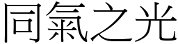 同氣之光 (宋體矢量字庫)