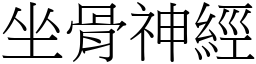 坐骨神經 (宋體矢量字庫)