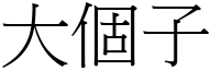 大个子 (宋体矢量字库)