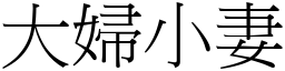 大妇小妻 (宋体矢量字库)