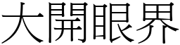 大开眼界 (宋体矢量字库)