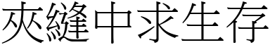 夾縫中求生存 (宋體矢量字庫)