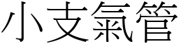 小支氣管 (宋體矢量字庫)