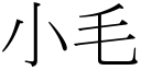 小毛 (宋体矢量字库)