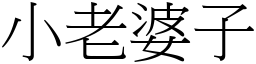 小老婆子 (宋体矢量字库)