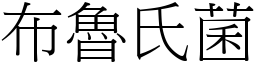 布魯氏菌 (宋體矢量字庫)