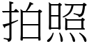 拍照 (宋體矢量字庫)