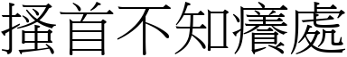 搔首不知癢處 (宋體矢量字庫)