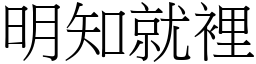 明知就里 (宋体矢量字库)