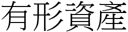 有形资产 (宋体矢量字库)