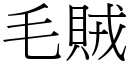 毛賊 (宋體矢量字庫)