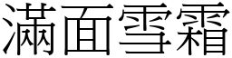 满面雪霜 (宋体矢量字库)