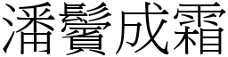 潘鬢成霜 (宋體矢量字庫)