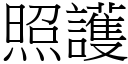 照护 (宋体矢量字库)