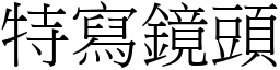 特寫鏡頭 (宋體矢量字庫)