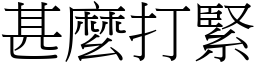 甚麼打緊 (宋體矢量字庫)