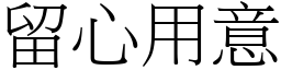 留心用意 (宋体矢量字库)