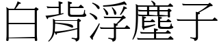 白背浮尘子 (宋体矢量字库)