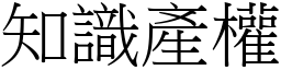 知識產權 (宋體矢量字庫)