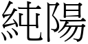 纯阳 (宋体矢量字库)