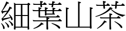 细叶山茶 (宋体矢量字库)