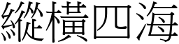 縱橫四海 (宋體矢量字庫)