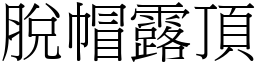 脱帽露顶 (宋体矢量字库)