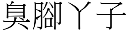 臭脚丫子 (宋体矢量字库)