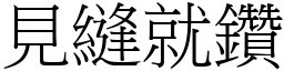 見縫就鑽 (宋體矢量字庫)