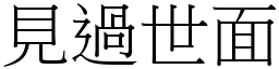 見過世面 (宋體矢量字庫)