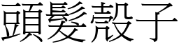 頭髮殼子 (宋體矢量字庫)