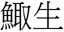 鯫生 (宋體矢量字庫)