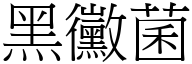 黑霉菌 (宋体矢量字库)